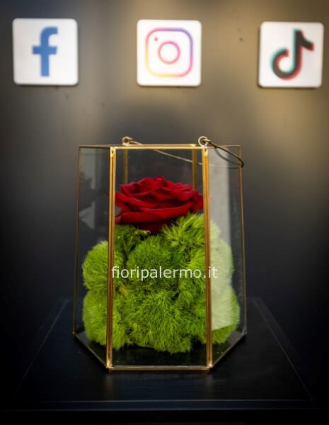 Lanterna vetro e oro con Rosa vera